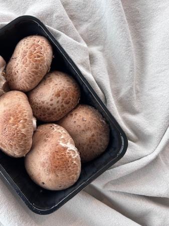 Champ portobello pr (kist 2x500g)