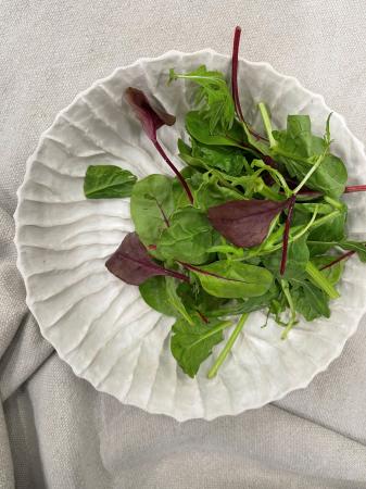 Sla mesclun gewassen pr (250g)