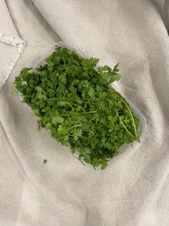 Kervel pr (100g)