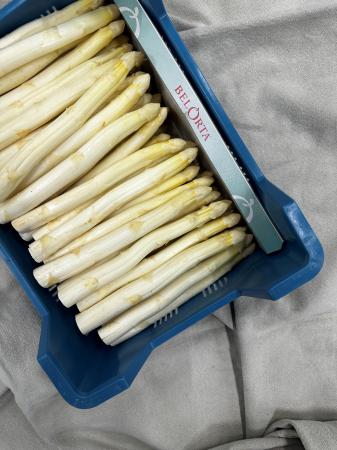 Asperges AA pr (kist 5kg)