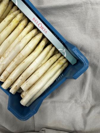Asperges AAA pr (kist 5kg)