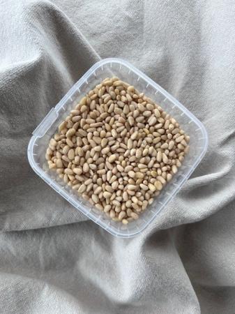Denneappelpitten pr (600g)