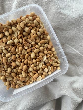 Pindanoten gezouten pr (1,75kg)