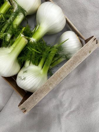 Fennel pr (chest 8pcs)