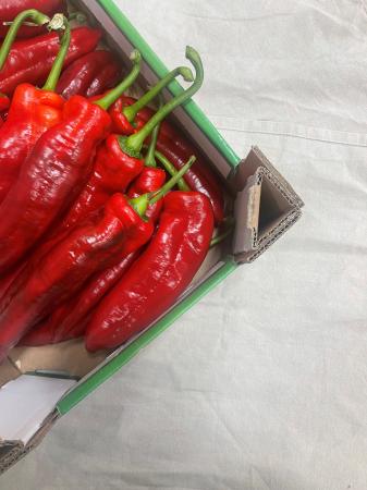 Paprika punt rood pr (kist 2,5kg)