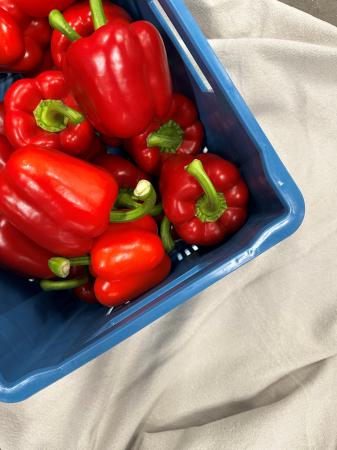 Paprika rood pr (kist 5kg)