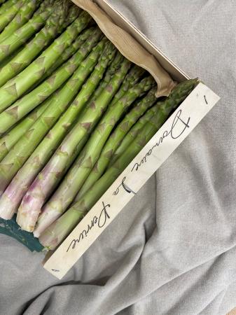 Asperges groen Belgie +24 pr (kist 4kg)