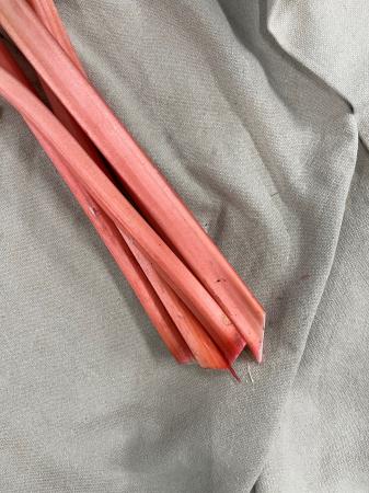 Rabarber roze los pr (doos 6kg)