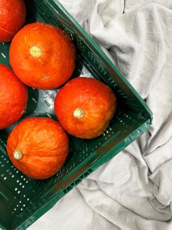 Pumpkin Hokkaido pr (box 6pcs)