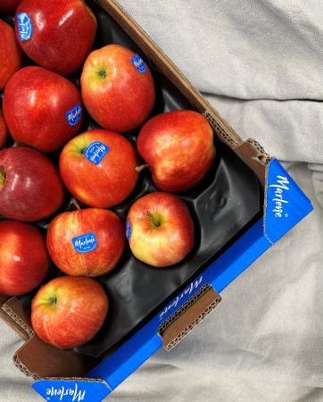Apple royal gala pr (4kg)