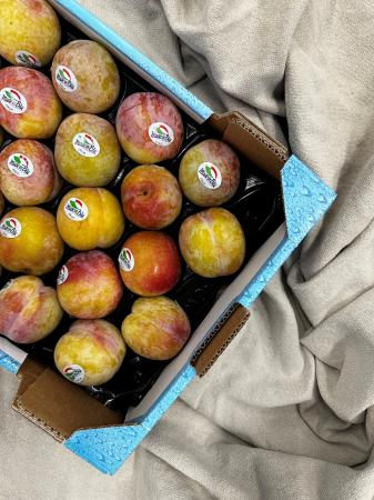 Plums yellow pr (box 6kg)