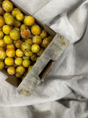 Prunes mirabelles pr (caisse)