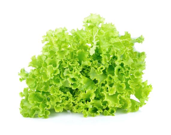 Sla frise groen pr (kist 8stuks)