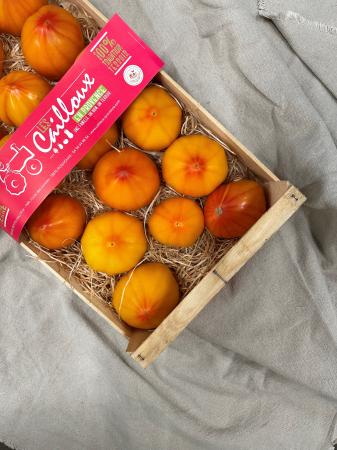 Tomaat ananas d'antan Provence pr (kist 4,5kg)