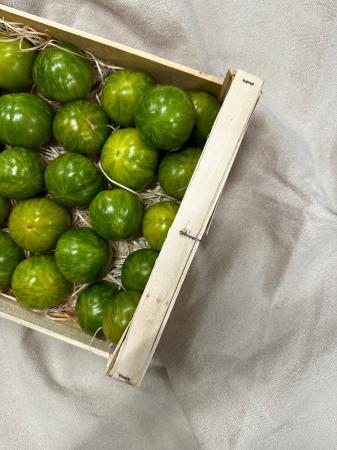 Tomaat green d'antan Provence pr (kist 4kg)
