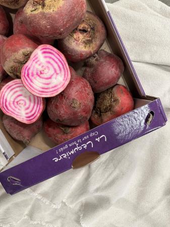 Bieten chioggia pr (1kg)