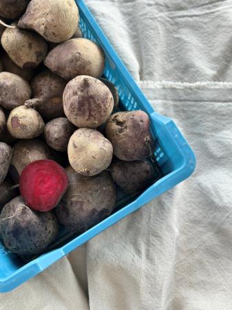 Bieten rood pr (1kg)