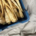 Parsleyroot pr kg (KG)