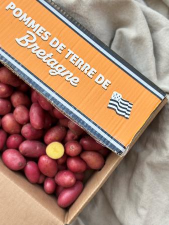 Aard kriel rood pr (1kg)