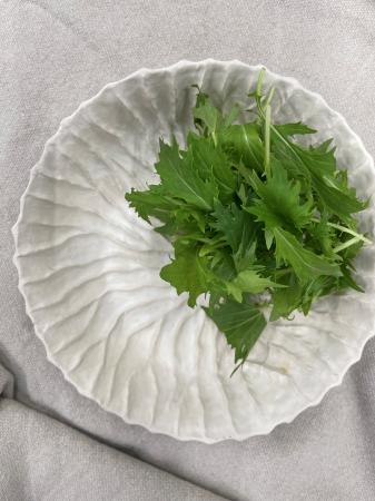 Sla mizuna groen ongewassen pr (200g)