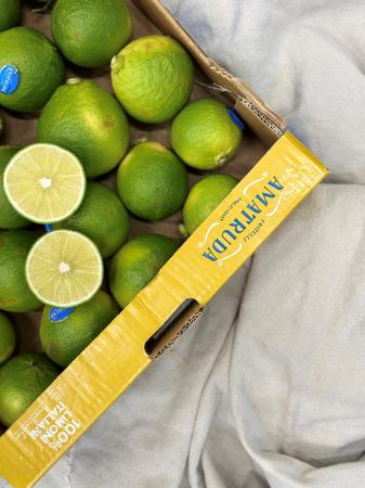 Lemon bergamot pr (kg)