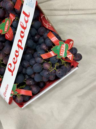 Grapes blue Leopold pr (box)