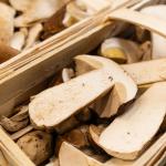 The first porcini mushrooms are here!