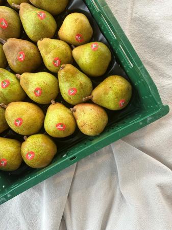 Pears doyenné pr (chest 7kg)