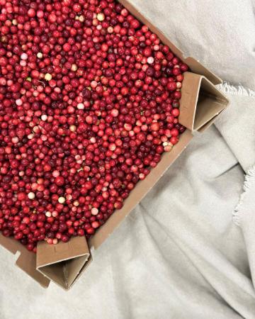 Cranberry pr (chest 5kg)