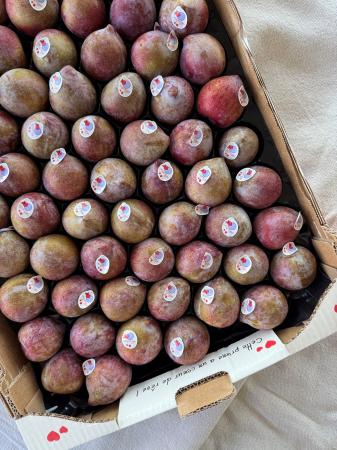 Pruimen blauw pr (kist 3,7kg)