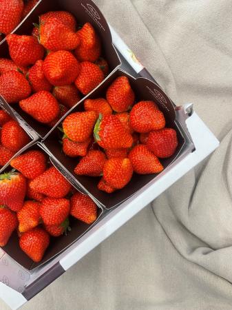Aardbei AA pr (kist 8x500g)