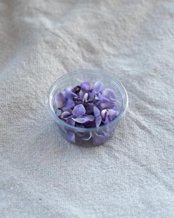 Bean blossom pr (schaal)