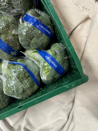 Broccoli pr (kist 10st)