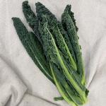 Palmcabbage cavolo nero (bushel) (ST)