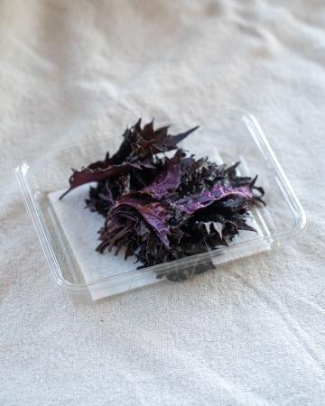 Shiso LEAVES ROOD pr (schaal)