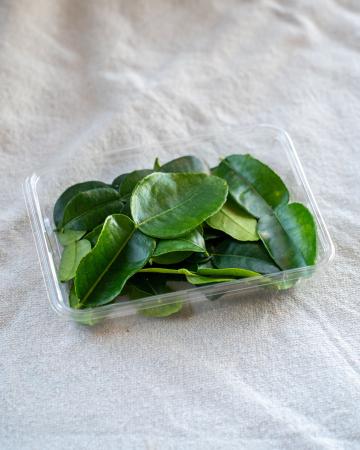 Kaffir lime leaves pr (schaal)
