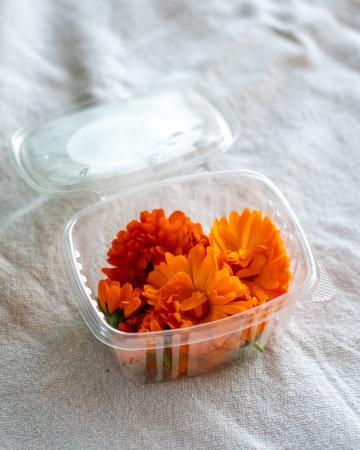 Bloem goudsbloem / calendula pr (schaal)