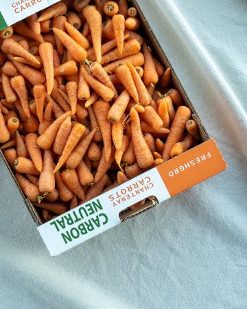 Mini carrot chantenay orange pr (chest 5kg)