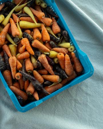Mini carrot chantenay mix pr (chest 5kg)