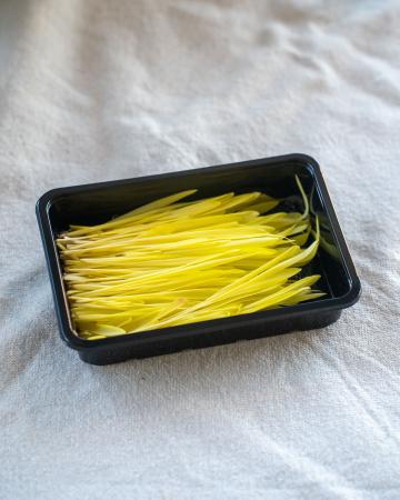 Popcorn shoots pr (schaal)
