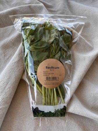 Basilicum pr (80g)