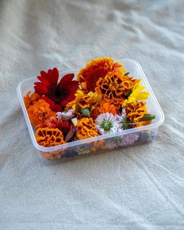 Bloem bloemenmix pr (schaal)