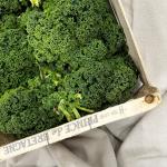 Curly kale pr (package) (ST)