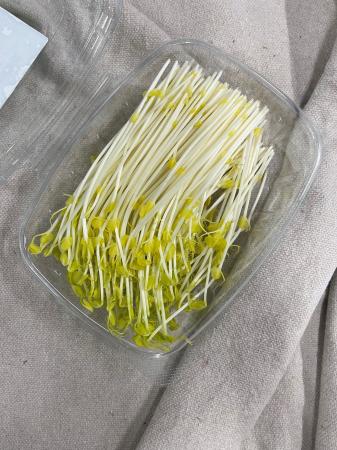 Scheut erwten pr (100g)