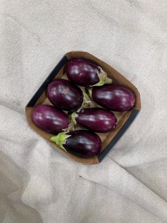 Mini aubergines pr (schaal)