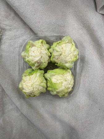 Mini bloemkool pr (schaal 4 stuks)