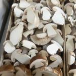 Mushrooms cepes cut pr (kist 3kg) (KIST)