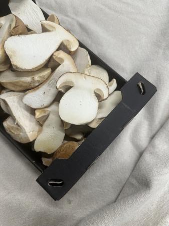 Mushrooms cepes cut pr (1kg)